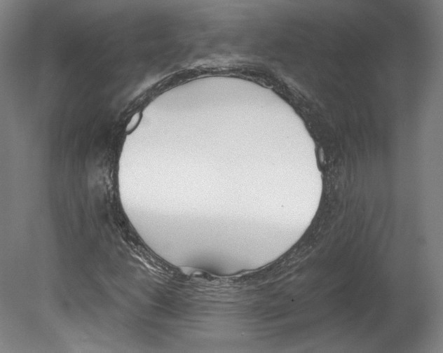 X0000080171206200701051622
