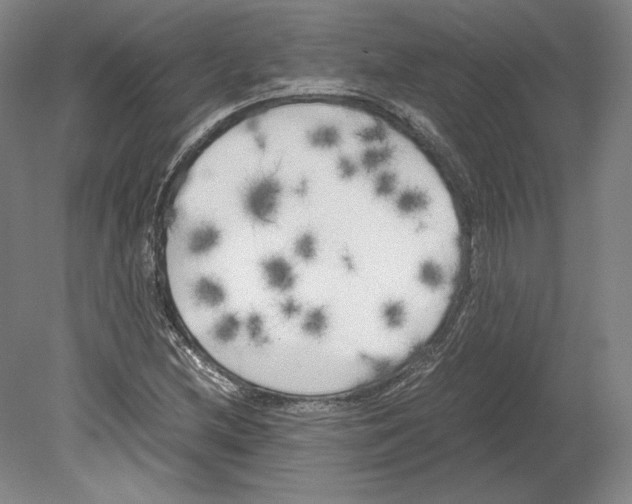 X0000080171212200701051622