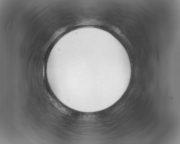 X0000080171221200701051622