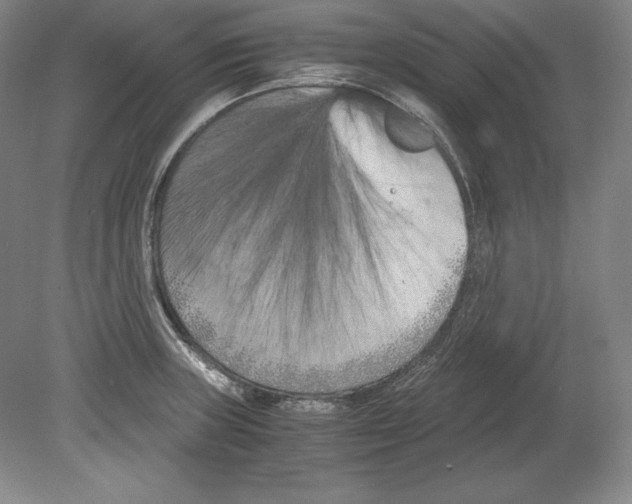X0000080171235200701051623