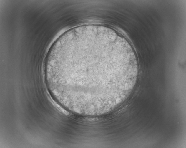 X0000080171243200701051623