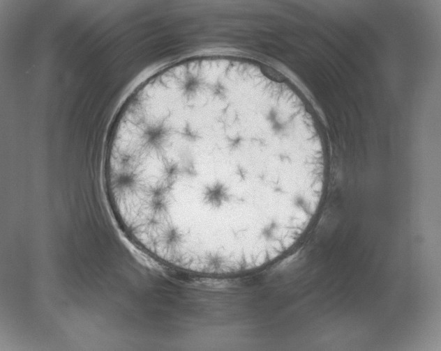 X0000080171245200701051623