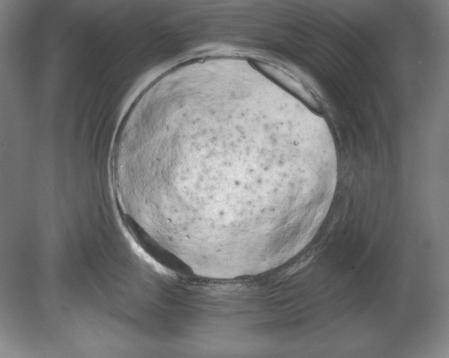 X0000080171247200701051623