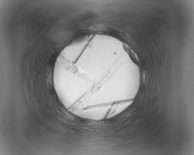 X0000080171251200701051622