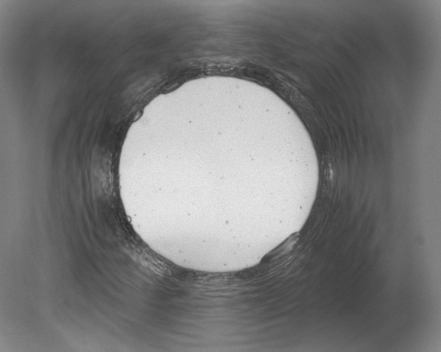 X0000080171252200701051622