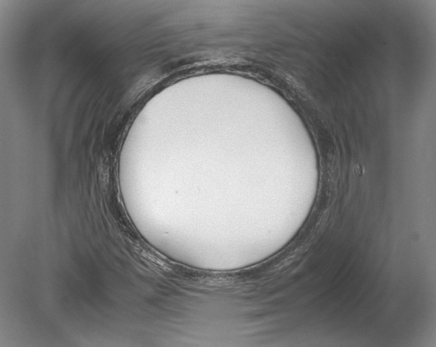 X0000080171257200701051622