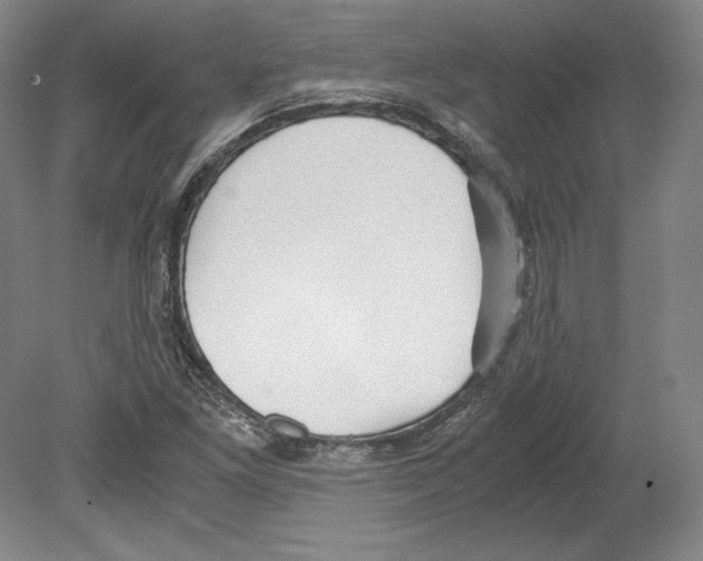 X0000080171261200701051622
