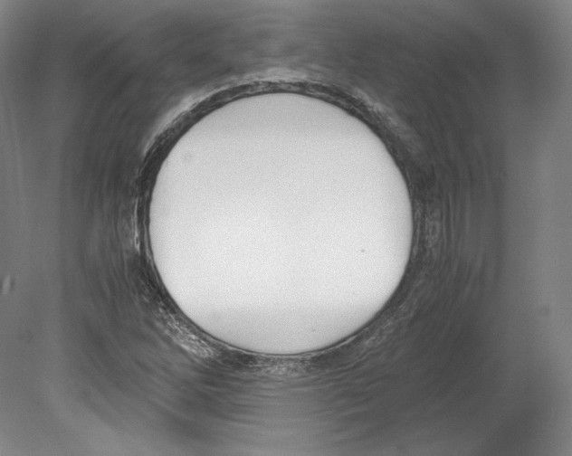 X0000080171262200701051622