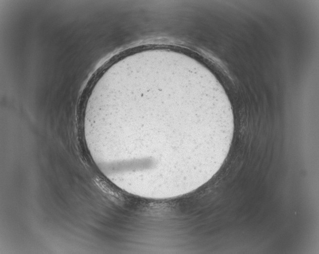 X0000080171264200701051622