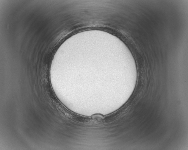 X0000080171265200701051622