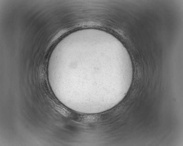 X0000080171266200701051622
