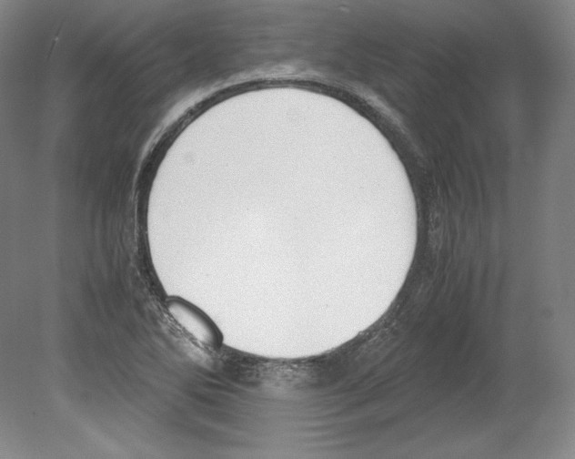 X0000080171270200701051622