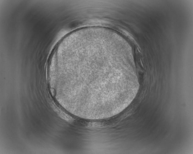 X0000080171275200701051622