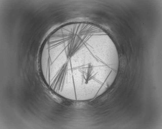 X0000080171278200701051622