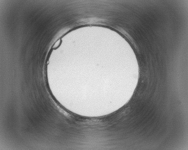 X0000080171285200701051622