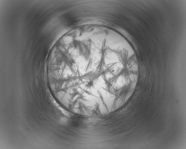 X0000080171290200701051621