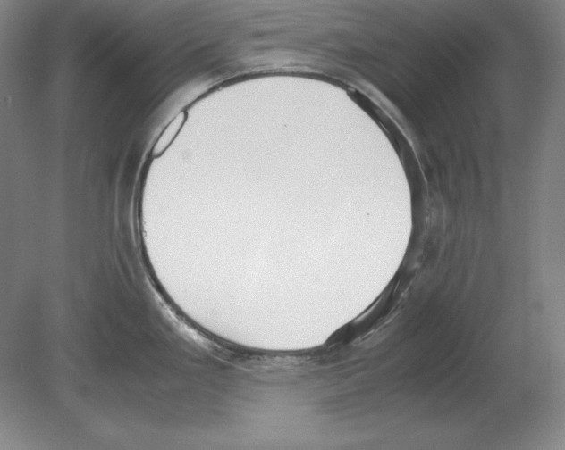 X0000080171293200701051621