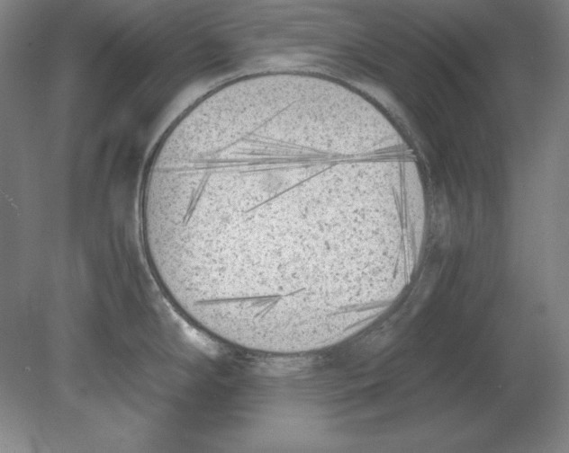 X0000080171294200701051621