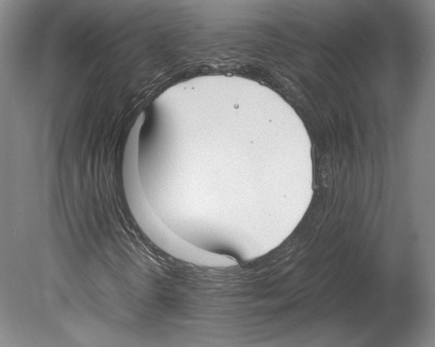 X0000080171298200701051621