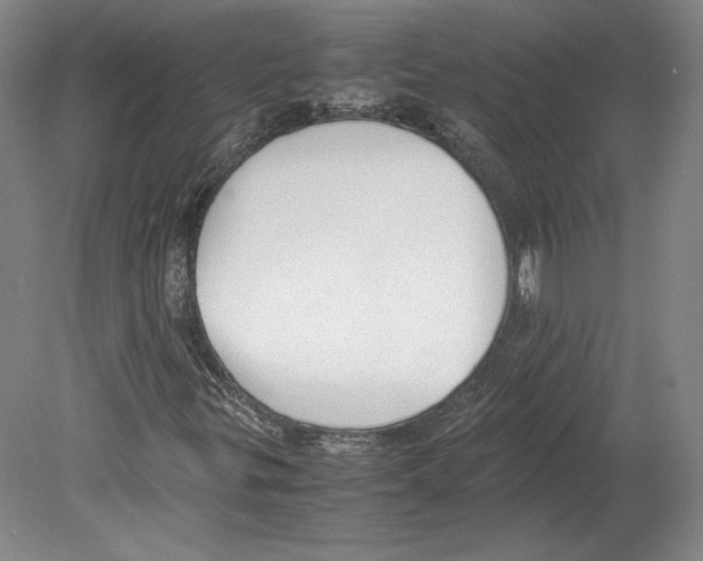 X0000080171299200701051621
