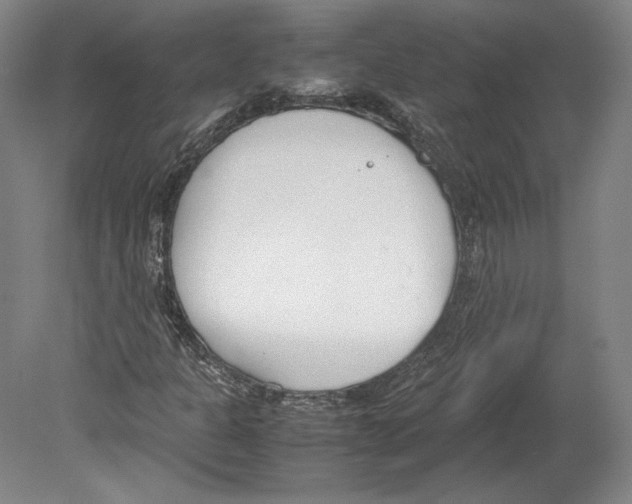 X0000080171301200701051621