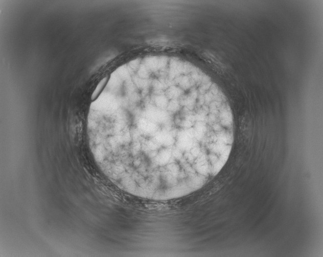 X0000080171302200701051621