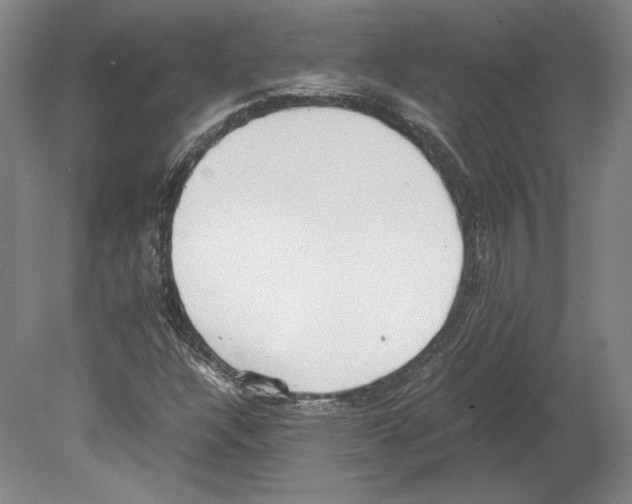 X0000080171304200701051621