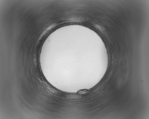 X0000080171307200701051621