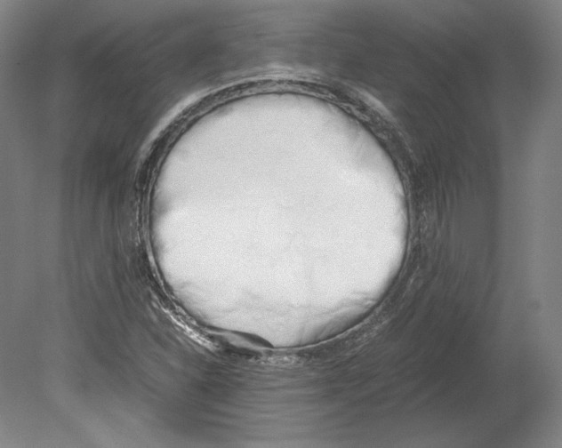 X0000080171310200701051621