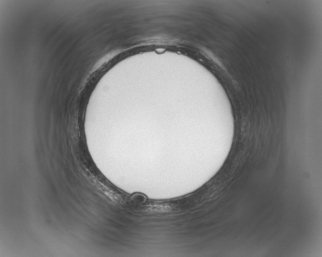 X0000080171315200701051621