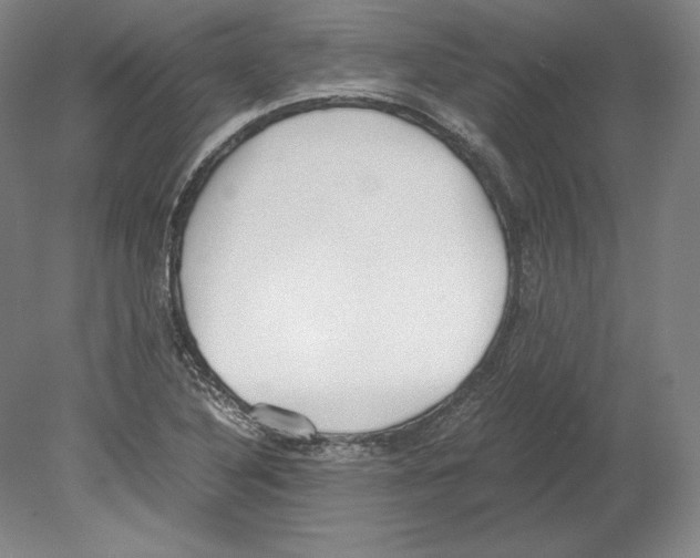 X0000080171316200701051621