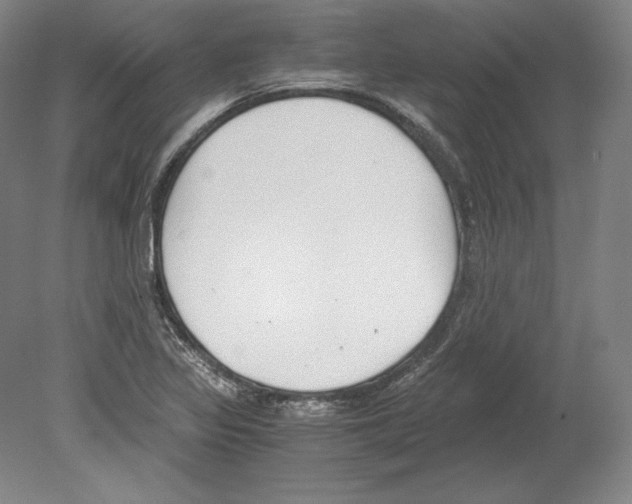 X0000080171317200701051621