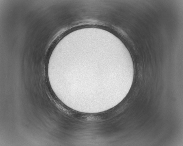 X0000080171318200701051621