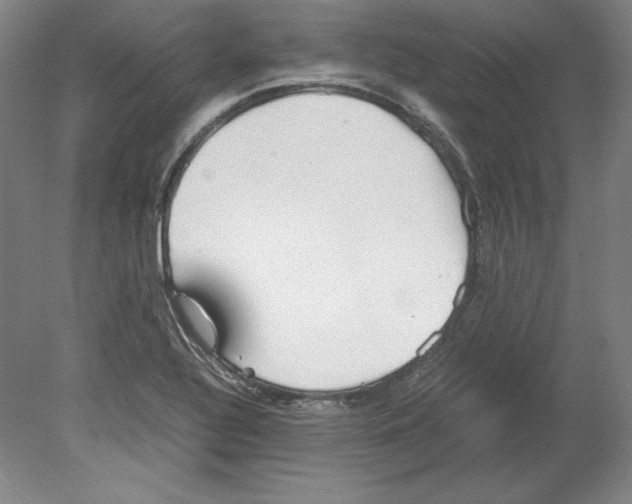 X0000080171320200701051621