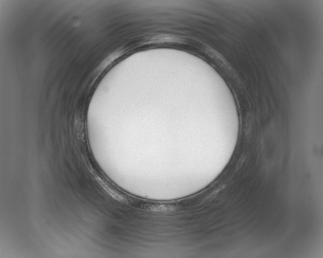 X0000080171321200701051621