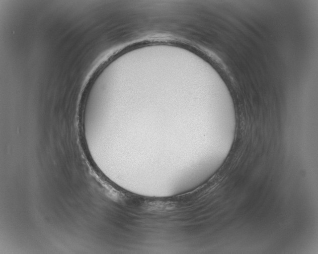 X0000080171327200701051621