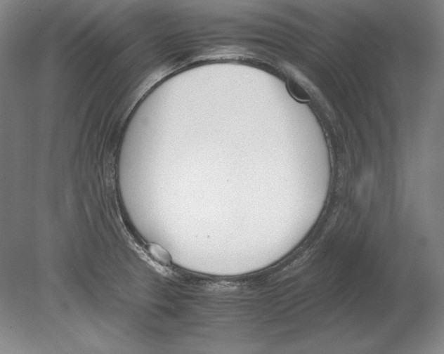 X0000080171329200701051621