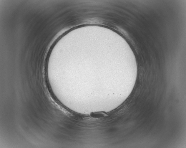 X0000080171331200701051621