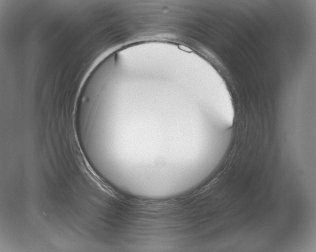 X0000080171332200701051621