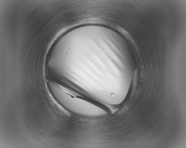 X0000080171334200701051621