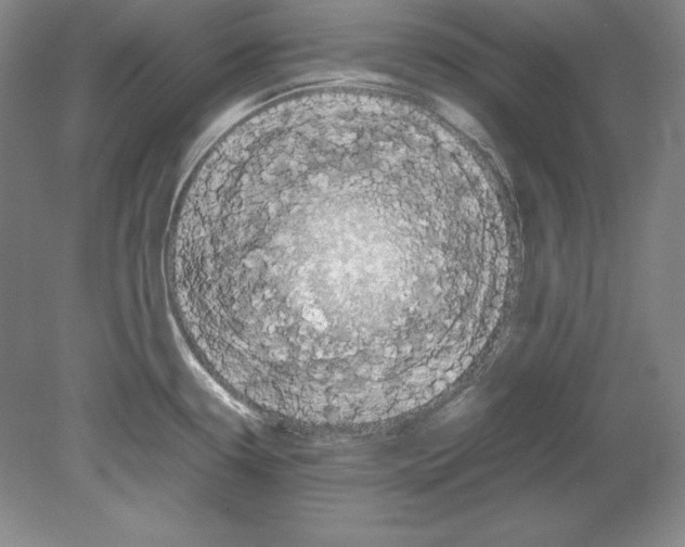 X0000080171338200701051621