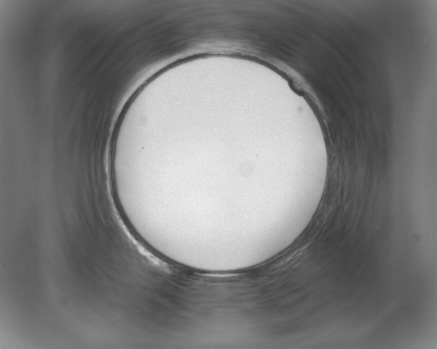 X0000080171343200701051621