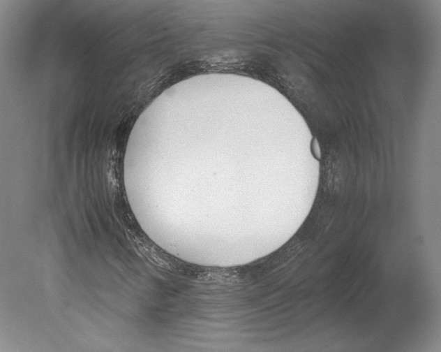 X0000080171346200701051620