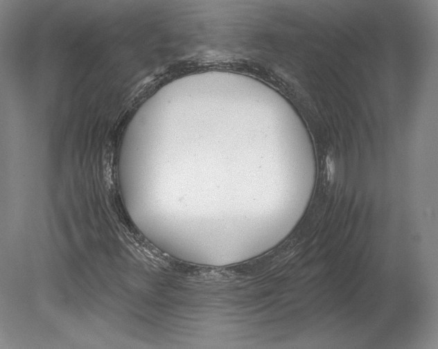 X0000080171348200701051620