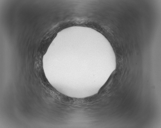 X0000080171349200701051620