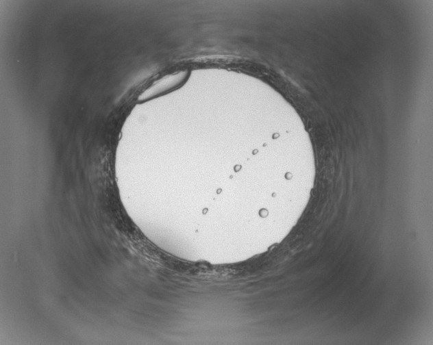 X0000080171351200701051620