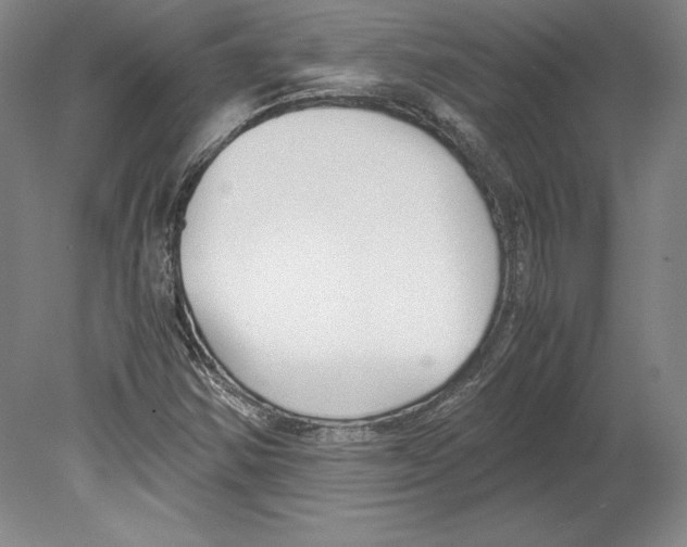 X0000080171354200701051620