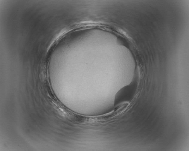 X0000080171357200701051620