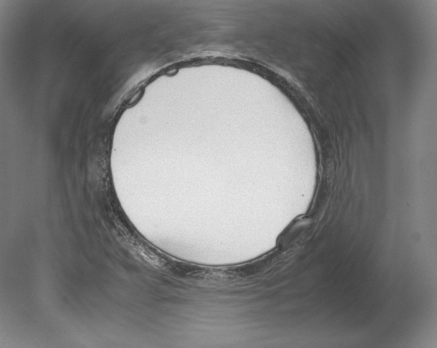 X0000080171359200701051620
