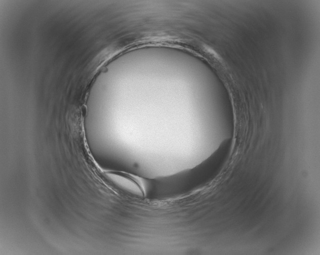 X0000080171361200701051620